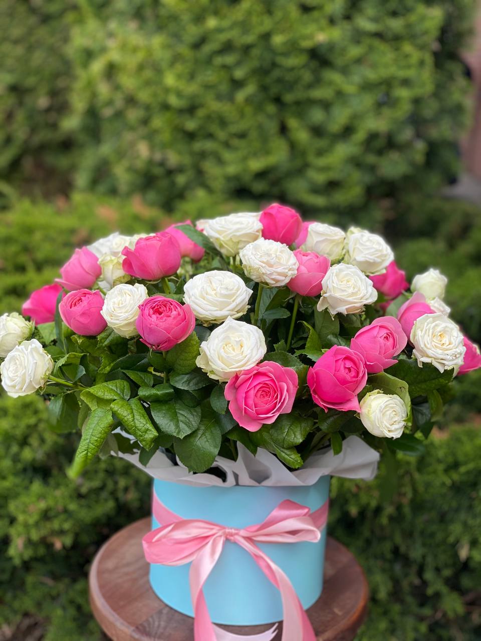 Hutbox XL 51 Rosen (Sorten Miss Bombastic und Line)