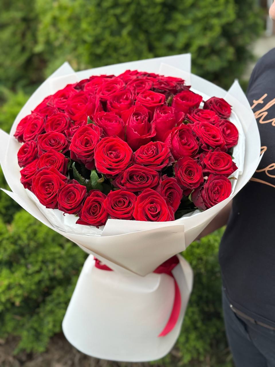 51 Rosen Red Naomi