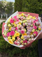 51 pfingstrosenartige Rosen Lavender und Gelato Peony