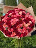101 Rosen Miss Piggy und Rot
