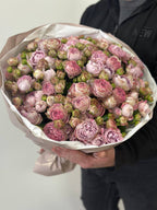 39 pfingstrosenartige Rosen Lavender
