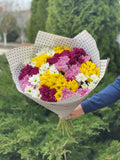 19 Margeriten-Chrysantheme (rot, weiß, gelb und violett)