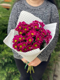 5 Margeriten-Chrysantheme (lila)